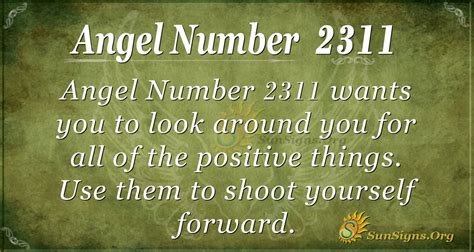 18.2311.1071.0|0 meaning.
